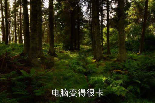 電腦變得很卡