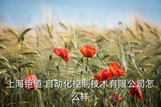 上海鉅道 自動化控制技術(shù)有限公司怎么樣