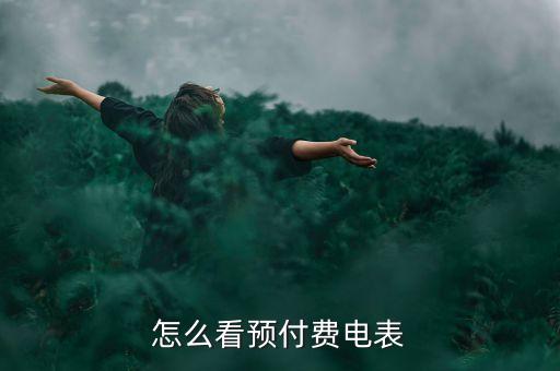 怎么看預(yù)付費電表