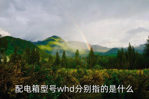 whd，配電箱型號(hào)whd分別指的是什么