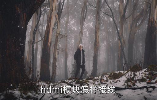 hdmi線，HDMI線主要工能是甚么