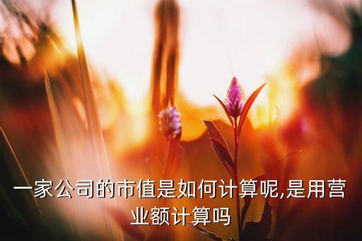 一家公司的市值是如何計(jì)算呢,是用營(yíng)業(yè)額計(jì)算嗎