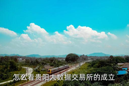 怎么看貴陽大數(shù)據(jù)交易所的成立