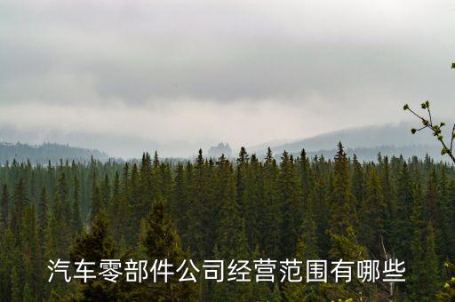 汽車零部件公司經(jīng)營范圍有哪些