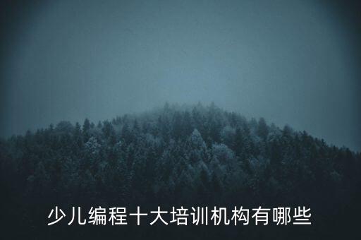 少兒編程十大培訓(xùn)機(jī)構(gòu)有哪些