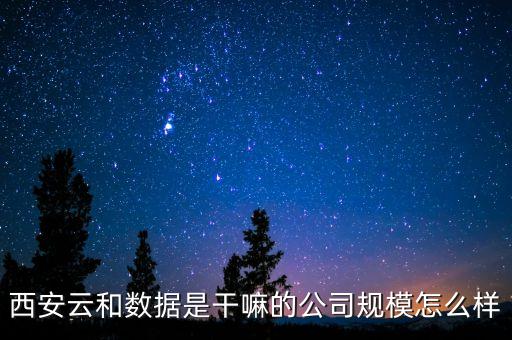 西安云和數(shù)據(jù)是干嘛的公司規(guī)模怎么樣