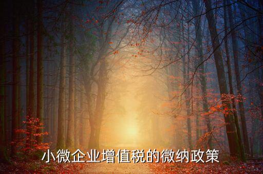 小微企業(yè)增值稅的微納政策