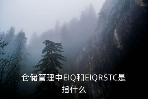 eiq，大學(xué)物流專業(yè)里面的EOQ和EIQ分別是什么公式是什么