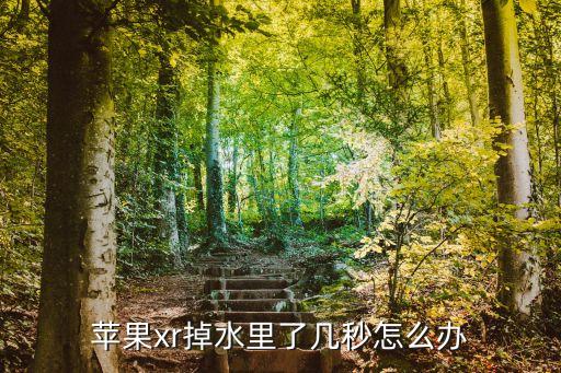 蘋果xr掉水里了幾秒怎么辦