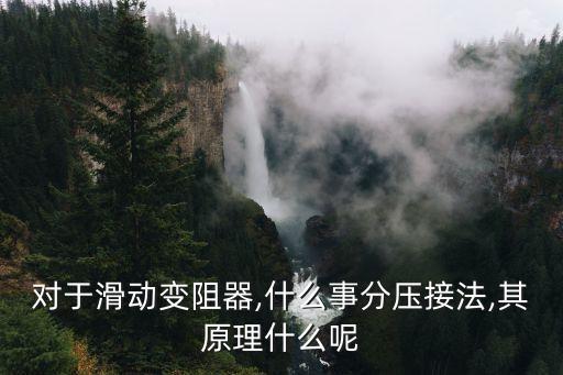 滑動(dòng)變阻器的接法,滑動(dòng)變阻器的四種接法有何不同?