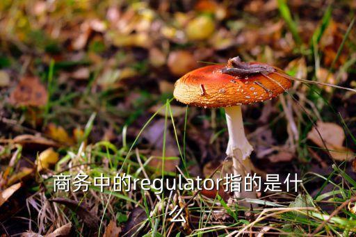 商務(wù)中的regulator指的是什么