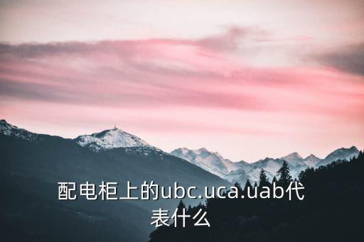 配電柜上的ubc.uca.uab代表什么