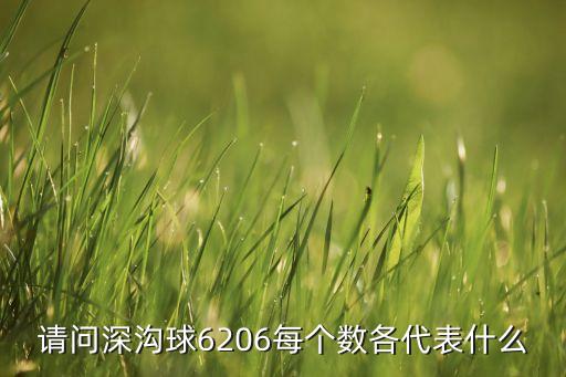 請問深溝球6206每個數(shù)各代表什么