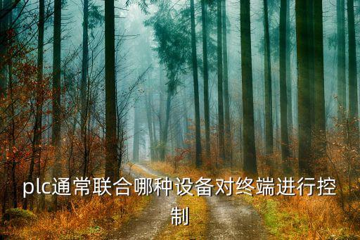 plc通常聯(lián)合哪種設(shè)備對終端進行控制