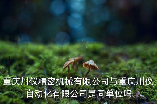 重慶川儀精密機械有限公司與重慶川儀自動化有限公司是同單位嗎