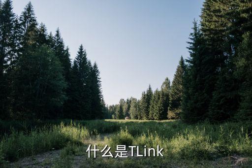 什么是TLink