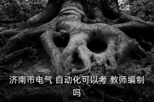自動化專業(yè)考教師資格證