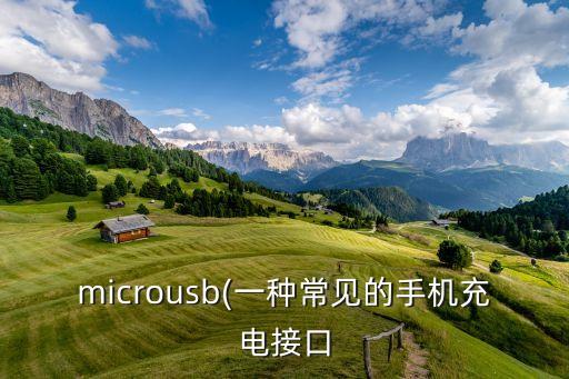 microusb(一種常見(jiàn)的手機(jī)充電接口