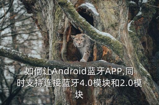 如何讓Android藍(lán)牙APP,同時(shí)支持連接藍(lán)牙4.0模塊和2.0模塊