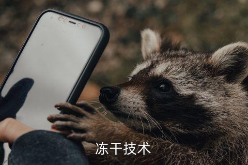 凍干技術(shù)