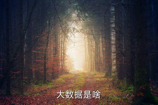 大數(shù)據(jù)是啥