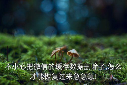 微信清除數(shù)據(jù)后怎么恢復(fù)原狀,微信聊天記錄怎么恢復(fù)?