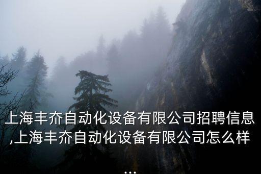 上海豐夼自動化設備有限公司招聘信息,上海豐夼自動化設備有限公司怎么樣...