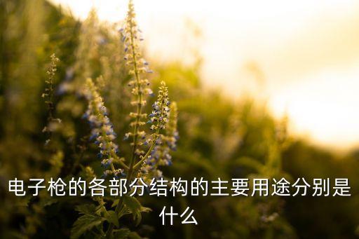 電子槍，什么是電子槍