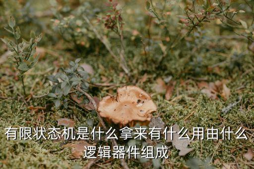 有限狀態(tài)機(jī)是什么拿來有什么用由什么邏輯器件組成