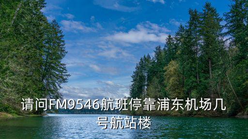 請問FM9546航班?？科謻|機場幾號航站樓