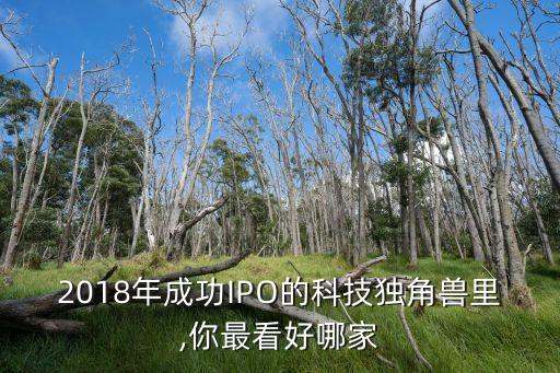 2018年成功IPO的科技獨(dú)角獸里,你最看好哪家