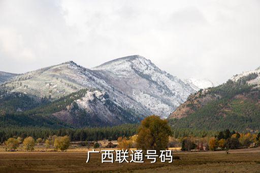 廣西聯(lián)通號(hào)碼