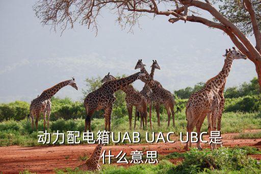 動力配電箱，動力配電箱UAB UAC UBC是什么意思