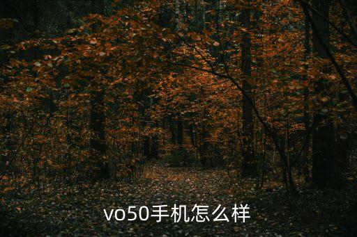 黑鯊手機怎么樣，leneo手機怎么樣好用嗎