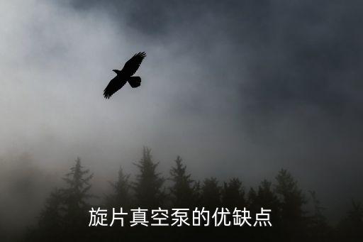 旋片真空泵的優(yōu)缺點(diǎn)
