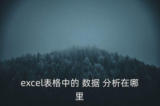 數(shù)據(jù)里的分析在哪里找,excel數(shù)據(jù)模擬分析在哪里