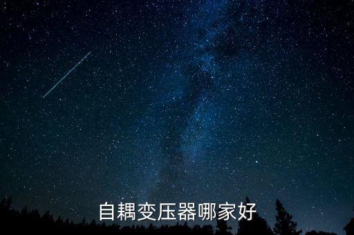 自耦變壓器哪家好