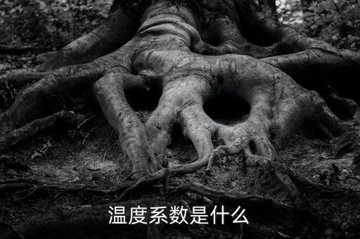 溫度系數(shù)是什么