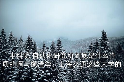 中科院自動(dòng)化所名下公司,張家俊 中科院自動(dòng)化所