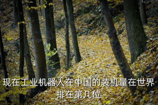 現(xiàn)在工業(yè)機器人在中國的裝機量在世界排在第幾位