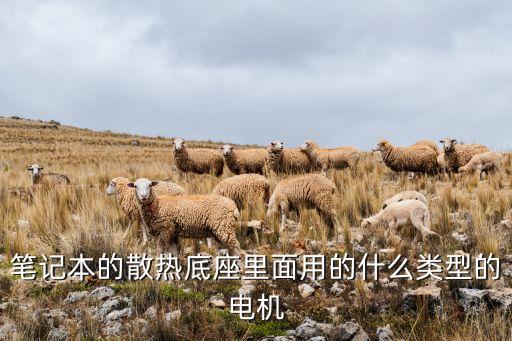 筆記本的散熱底座里面用的什么類型的電機(jī)
