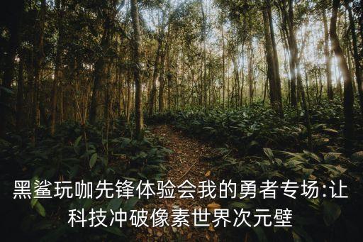 黑鯊游戲
