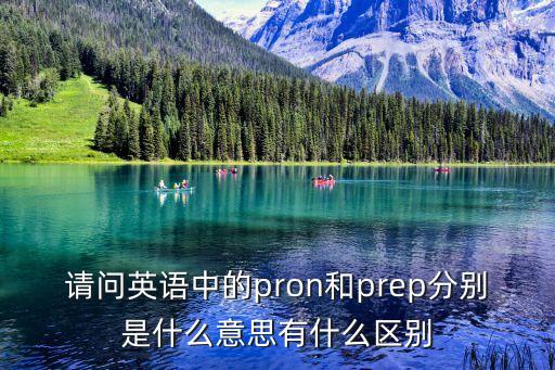 請問英語中的pron和prep分別是什么意思有什么區(qū)別
