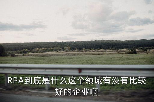 RPA到底是什么這個(gè)領(lǐng)域有沒有比較好的企業(yè)啊
