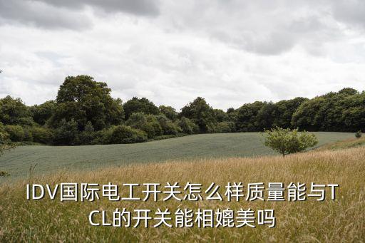 IDV國際電工開關(guān)怎么樣質(zhì)量能與TCL的開關(guān)能相媲美嗎