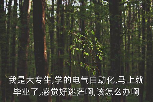 我是大專生,學(xué)的電氣自動化,馬上就畢業(yè)了,感覺好迷茫啊,該怎么辦啊