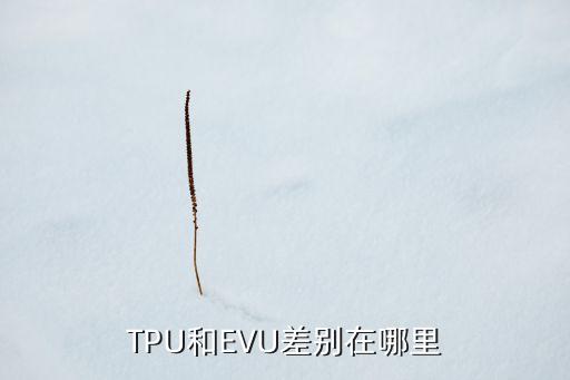TPU和EVU差別在哪里