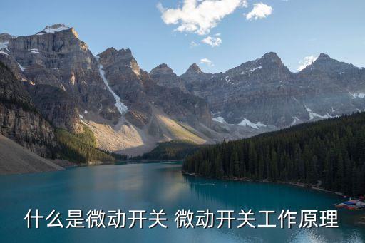 什么是微動(dòng)開(kāi)關(guān) 微動(dòng)開(kāi)關(guān)工作原理