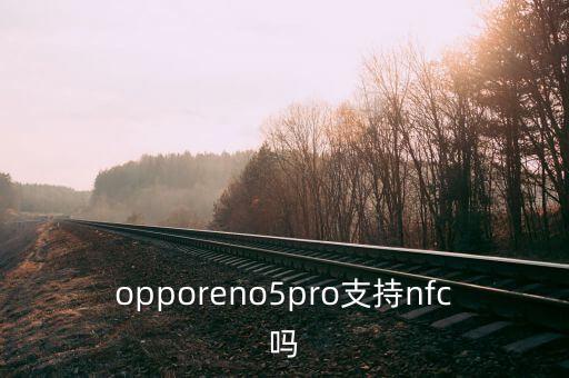 opporeno5pro支持nfc嗎