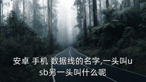 安卓 手機(jī) 數(shù)據(jù)線的名字,一頭叫usb另一頭叫什么呢